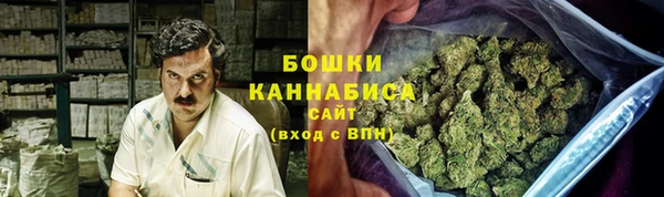 гашик Зерноград