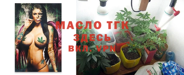 гашик Зерноград
