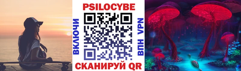 Купить  Красноперекопск  Псилоцибиновые грибы GOLDEN TEACHER 